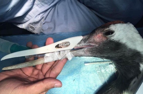 螢幕快照 2016-07-21 上午11.19.57