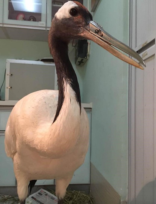 螢幕快照 2016-07-21 上午11.21.44