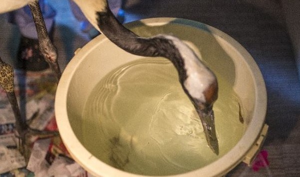 螢幕快照 2016-07-21 上午11.24.43