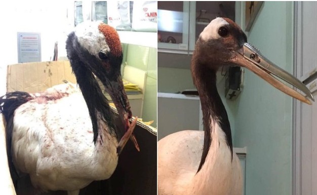 螢幕快照 2016-07-21 上午11.24.56