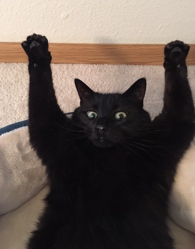 螢幕快照 2016-07-21 下午12.34.08