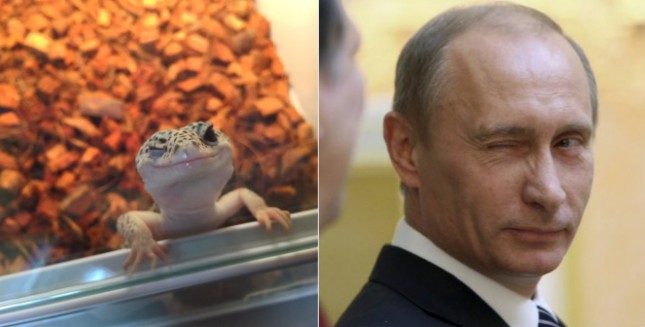 螢幕快照 2016-07-22 上午11.31.41