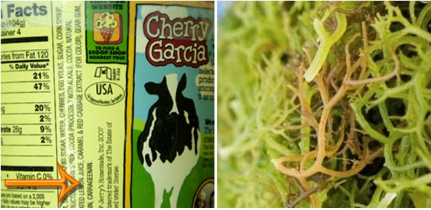 螢幕快照 2016-07-26 下午4.35.13