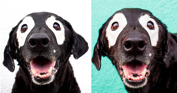 螢幕快照 2016-07-27 下午2.57.12