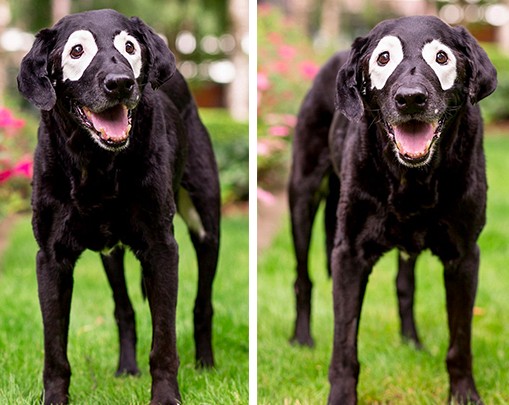 螢幕快照 2016-07-27 下午2.57.58