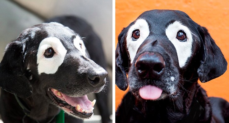 螢幕快照 2016-07-27 下午3.01.18