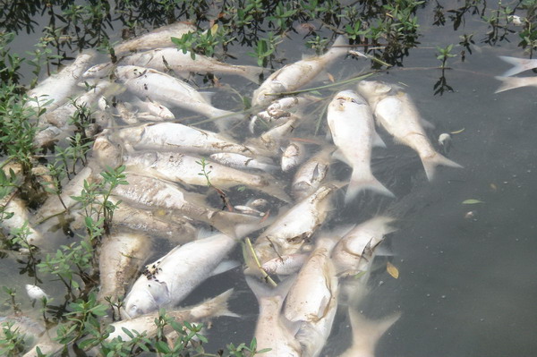 20160608180253735373