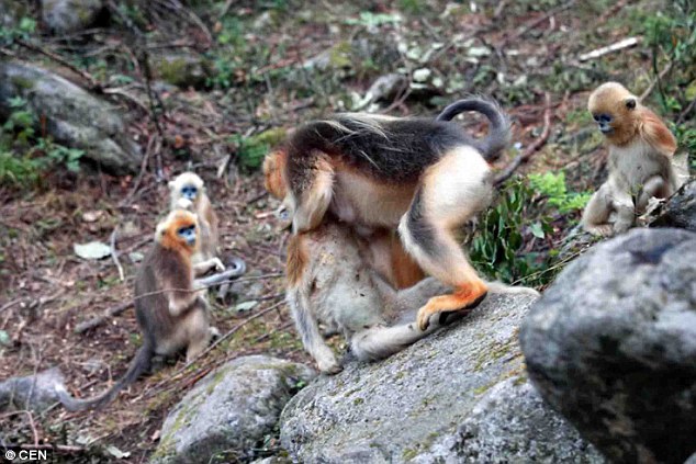 35D025DA00000578-3667431-image-a-8_1467277063721