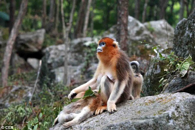 35D0260F00000578-3667431-image-a-4_1467277012449