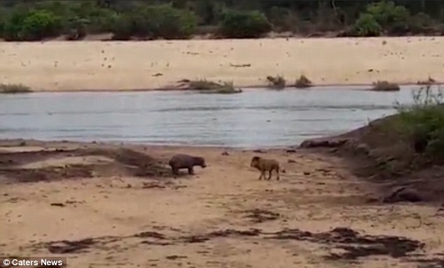 35F766DB00000578-0-image-a-12_1467725957342