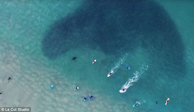 363FACDA00000578-3689327-image-m-136_1468469569398