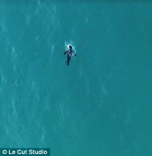 363FAD2700000578-0-image-m-103_1468451355960