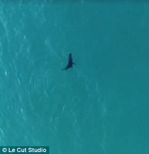 363FAD2E00000578-0-image-m-104_1468451372040