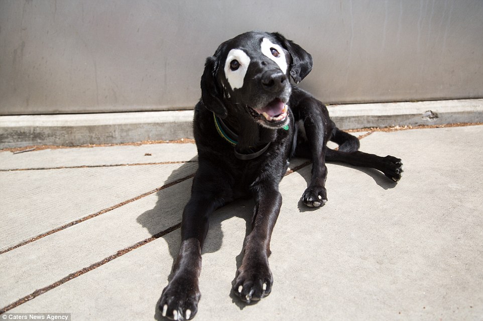 3698166000000578-0-image-a-61_1469527913156