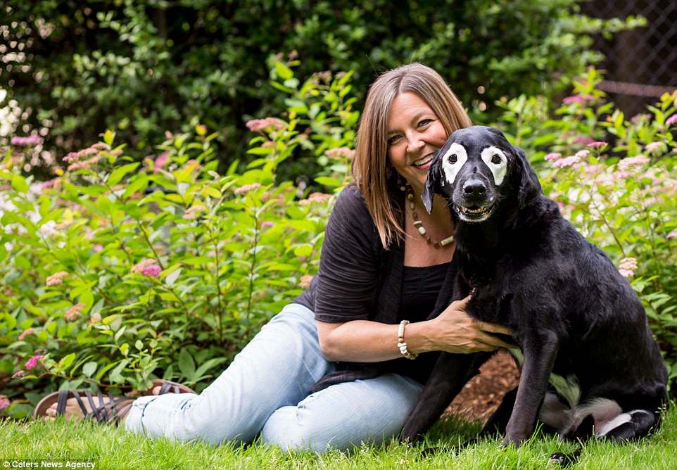 3698168400000578-0-image-a-59_1469527375091