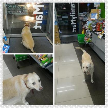 420_75fcec553f7cd851e98a11574cd0283d