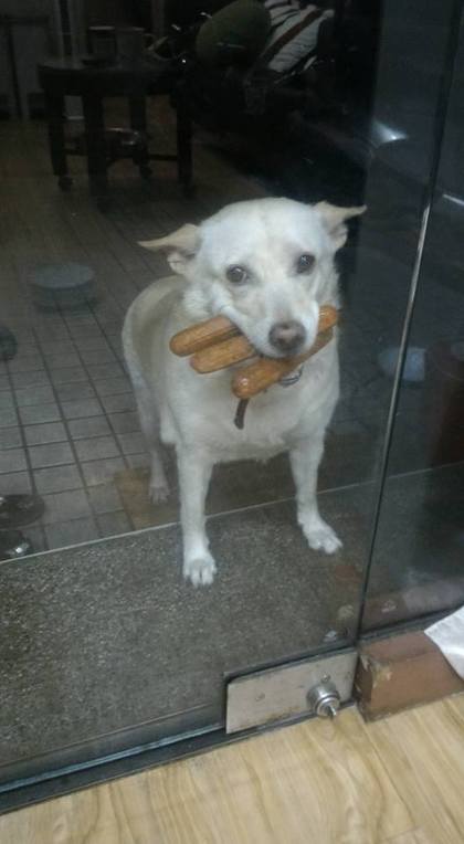 420_e704facc8ccff149a551928998d8ce1d