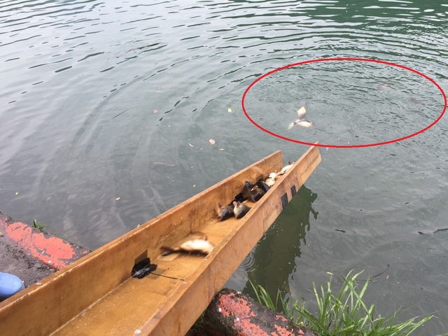 640_448d0c0dccc3815b8f26643b35465370