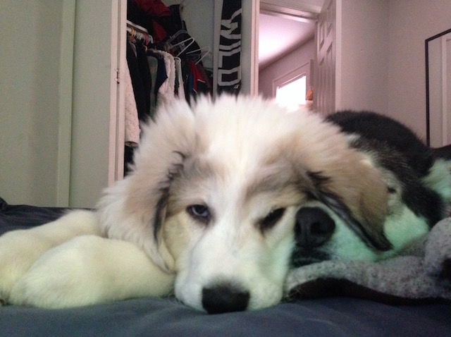 6af13fd5-6140-4e77-9606-103cd989a98b