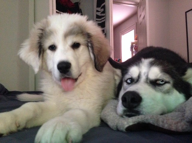 70a4cbfa-aeb1-4099-88c6-fa0d57303c61