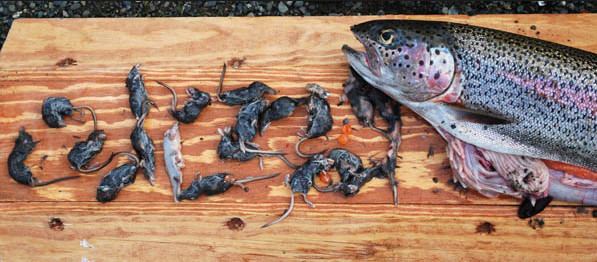 9aa000083af4d2ad7f6_meitu_3