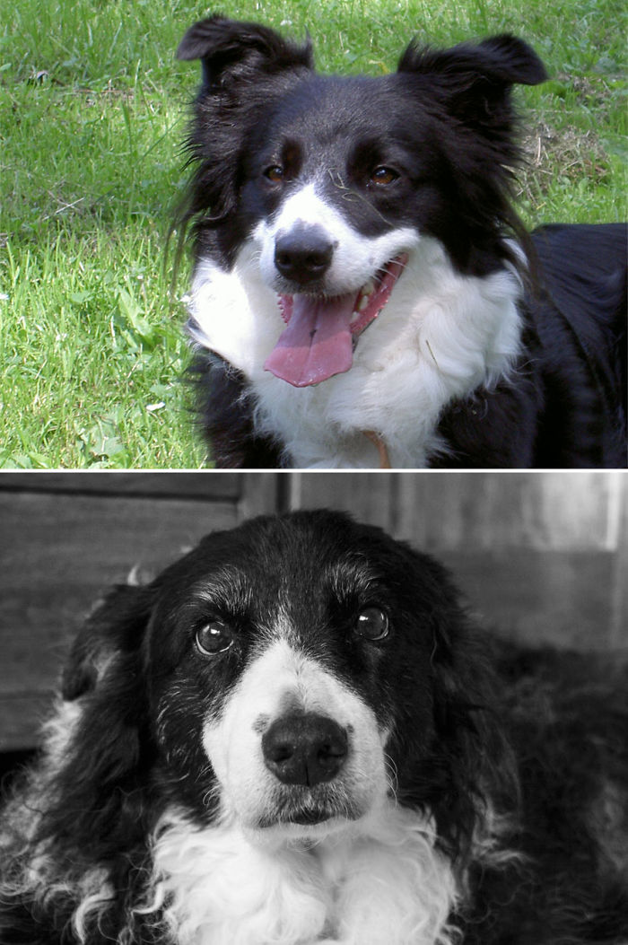 Lillie-begin-tot-eind-577c21b069481__700