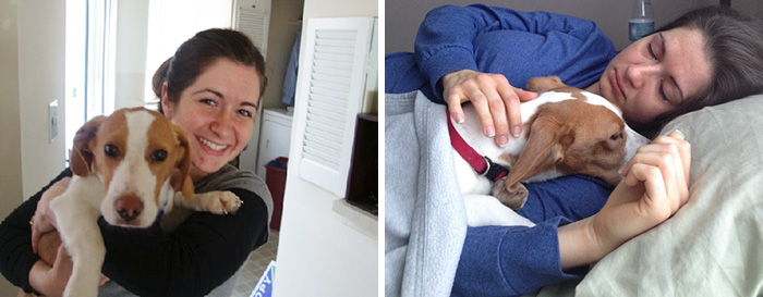 before-after-pets-growing-old-first-last-photos-12-577b77efb97a9__700