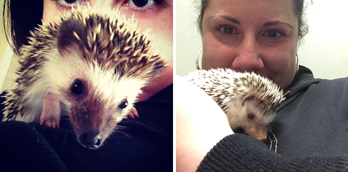 before-after-pets-growing-old-first-last-photos-16-577b77fc35ddb__700