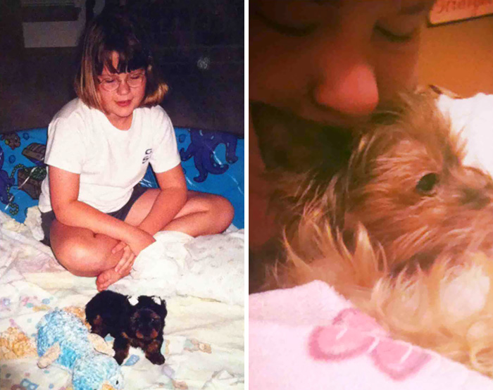 before-after-pets-growing-old-first-last-photos-22-577b780de2161__700