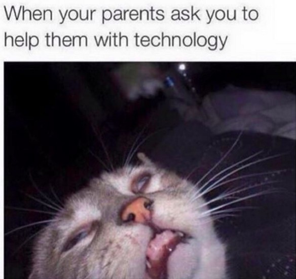 enhanced-21378-1452620637-1