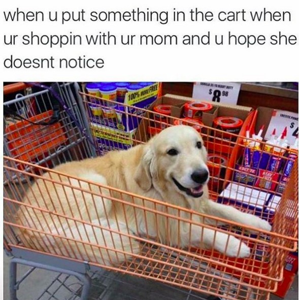 enhanced-23638-1452614426-11