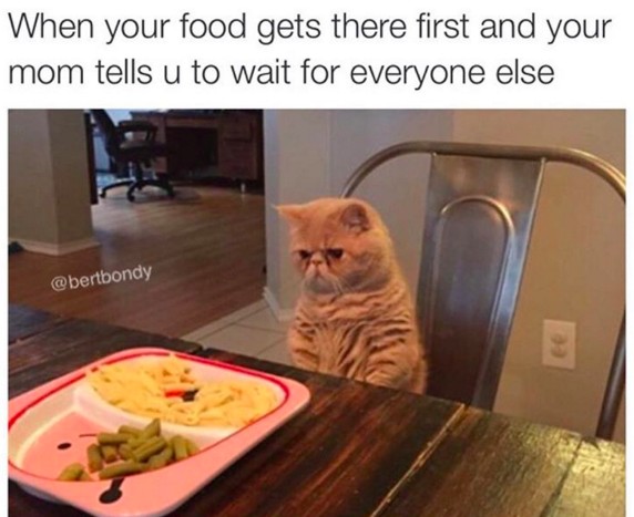 enhanced-2484-1452621288-1