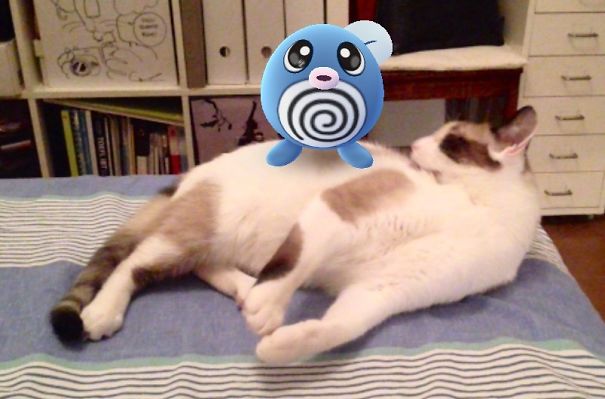 image-579678fcef745-jpeg__605