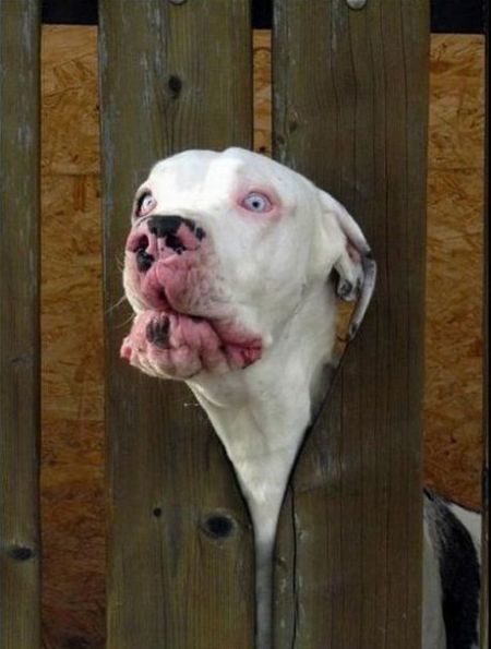 lifebuzz-95bea1b475b60d1bd8a48c658a88146d-limit_2000