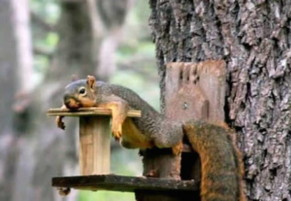 lifebuzz-99804885307bea29a5a20cbb33e4e443-limit_2000