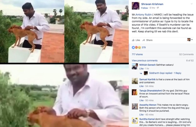 sub-buzz-17285-1467650127-7