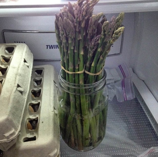 sub-buzz-29991-1468365327-2