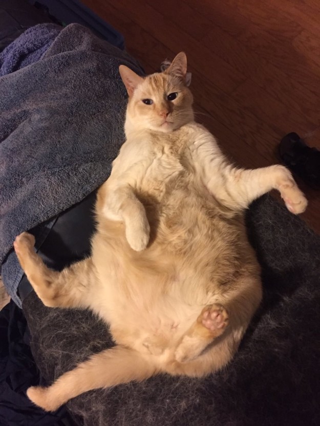 sub-buzz-30242-1468594162-17