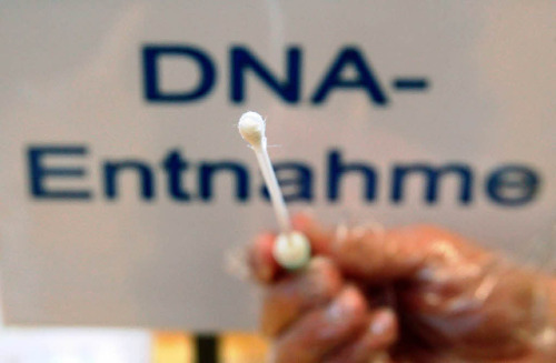 tumblr_lycgakDED41qjzpg0o1_500