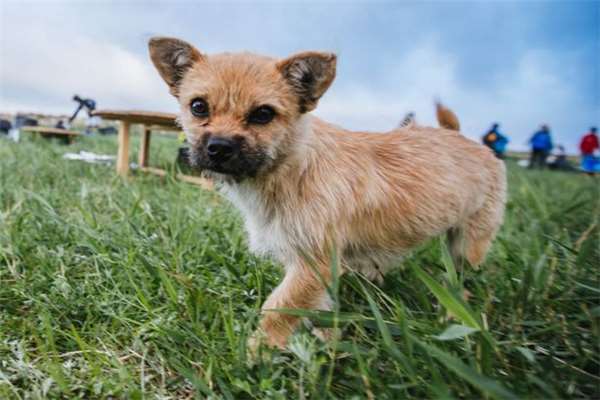 6360537693955855369443496