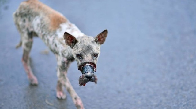 640_93d4e25d241683bfe03c9f4d36f3c143