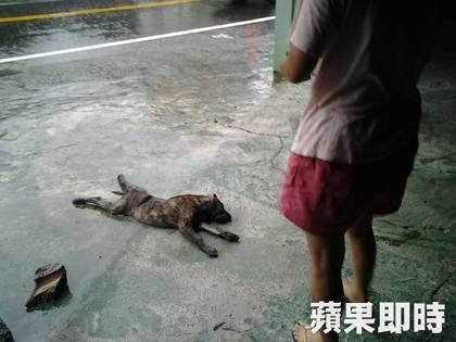 420_019f00943bf1f07314fe2e338c77fbf9_1473330603744_632899_ver1.0