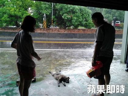 420_1c40fdf323bf534308d88f5b02f7e888_1473330603816_632900_ver1.0