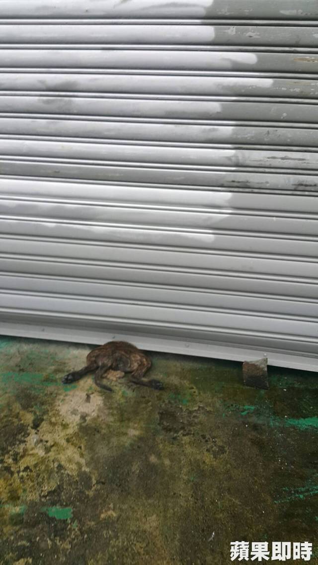 640_a409e6e37175f79f579175d5f9fcab11_1473330603938_632940_ver1.0