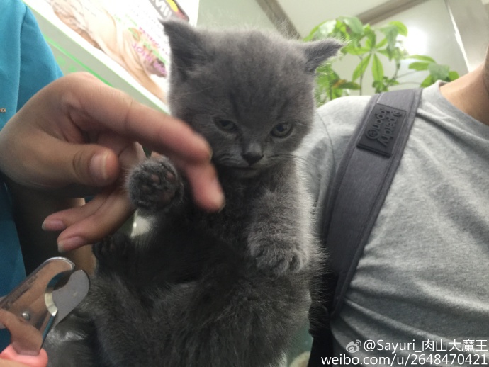 9ddc7395jw1eupsx4hes8j22io1w0x6p