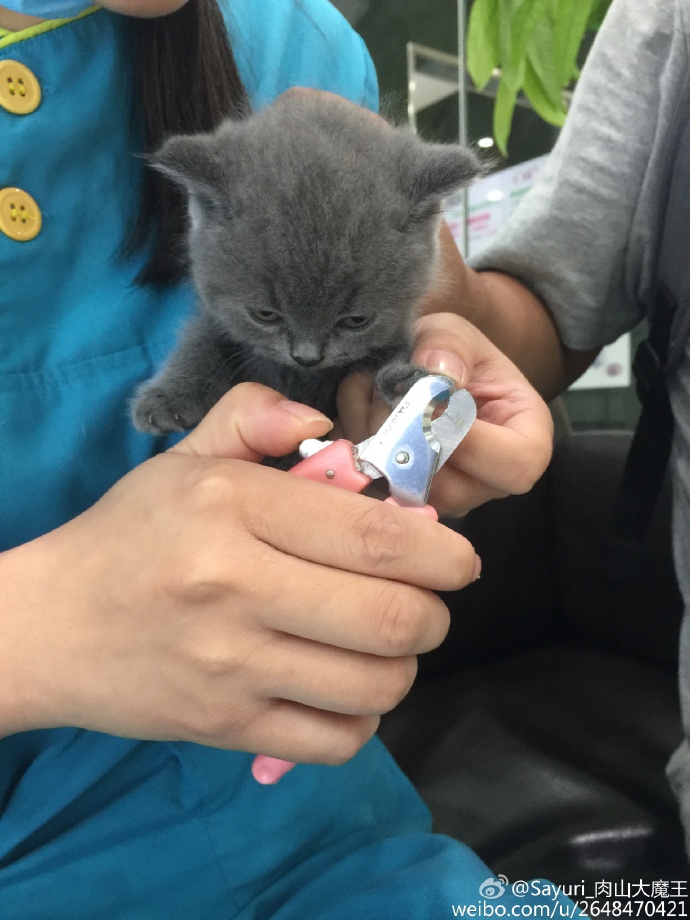 9ddc7395jw1eupsx9qc90j21w02iox6p