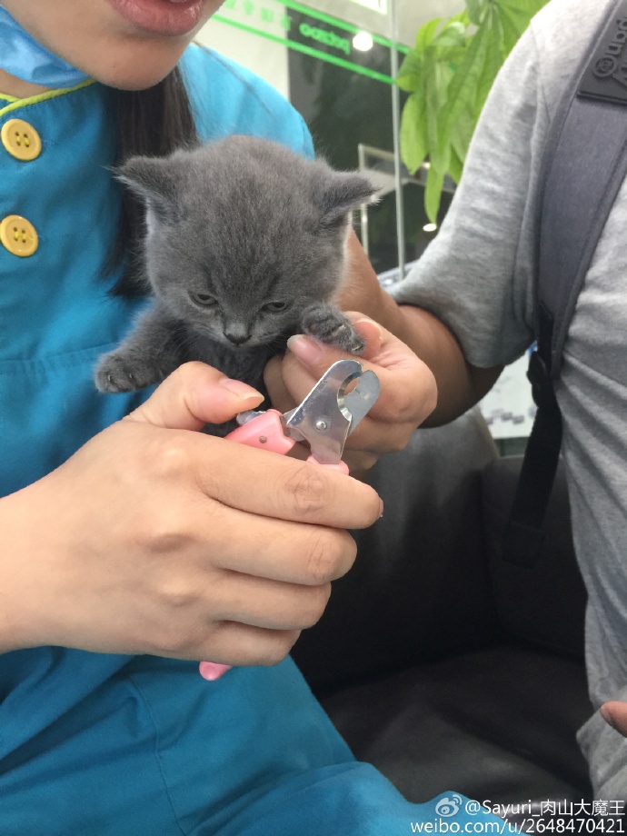 9ddc7395jw1eupsxepsbvj21w02io1ky