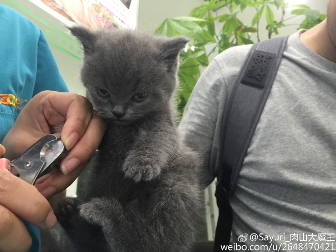 9ddc7395jw1eupsxnfnd2j22io1w0x6p