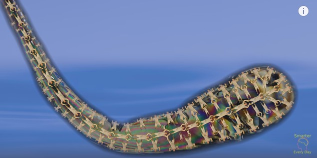 Screen Shot 2016-09-18 at 4.21.08 PM