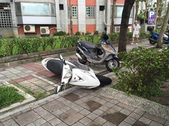 162511tsd1g4w6u6h1vpwx-jpg-thumb